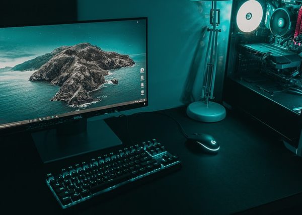screen record and webcam