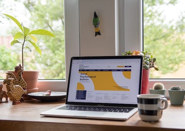 broken links testing